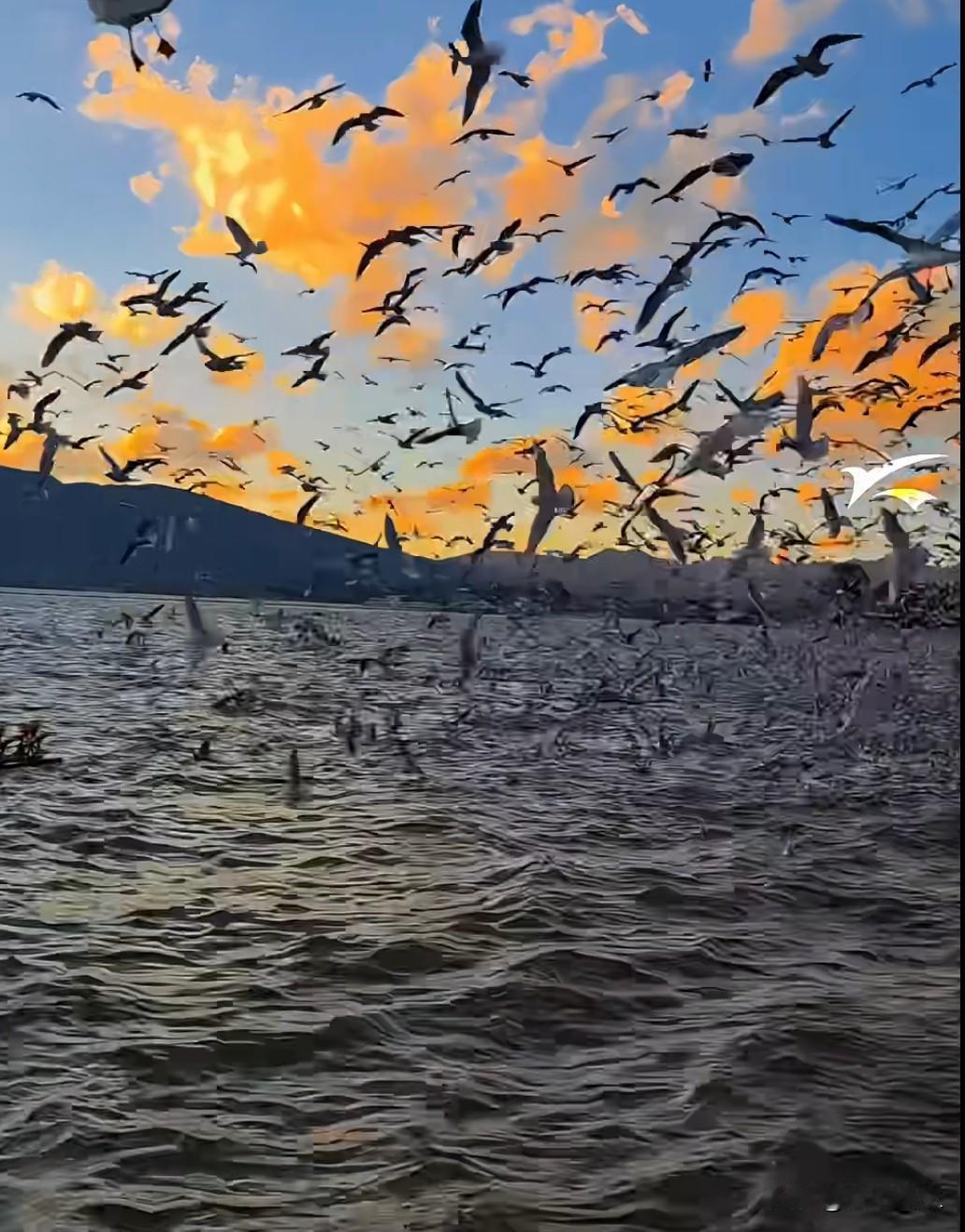 今年冬天的不同