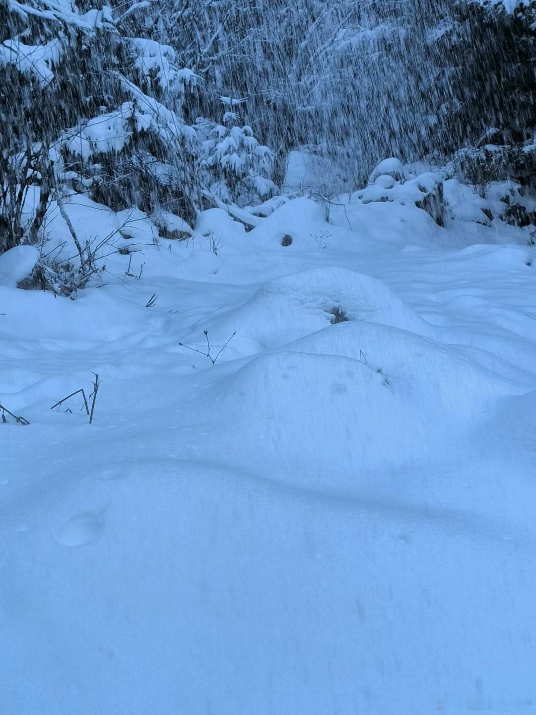 康先生陪你雪战到底   每到冬天，我的心中就燃起对冰雪的热爱。无论是滑雪时风在耳