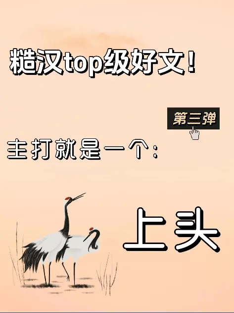 小说 文荒推荐 糙汉