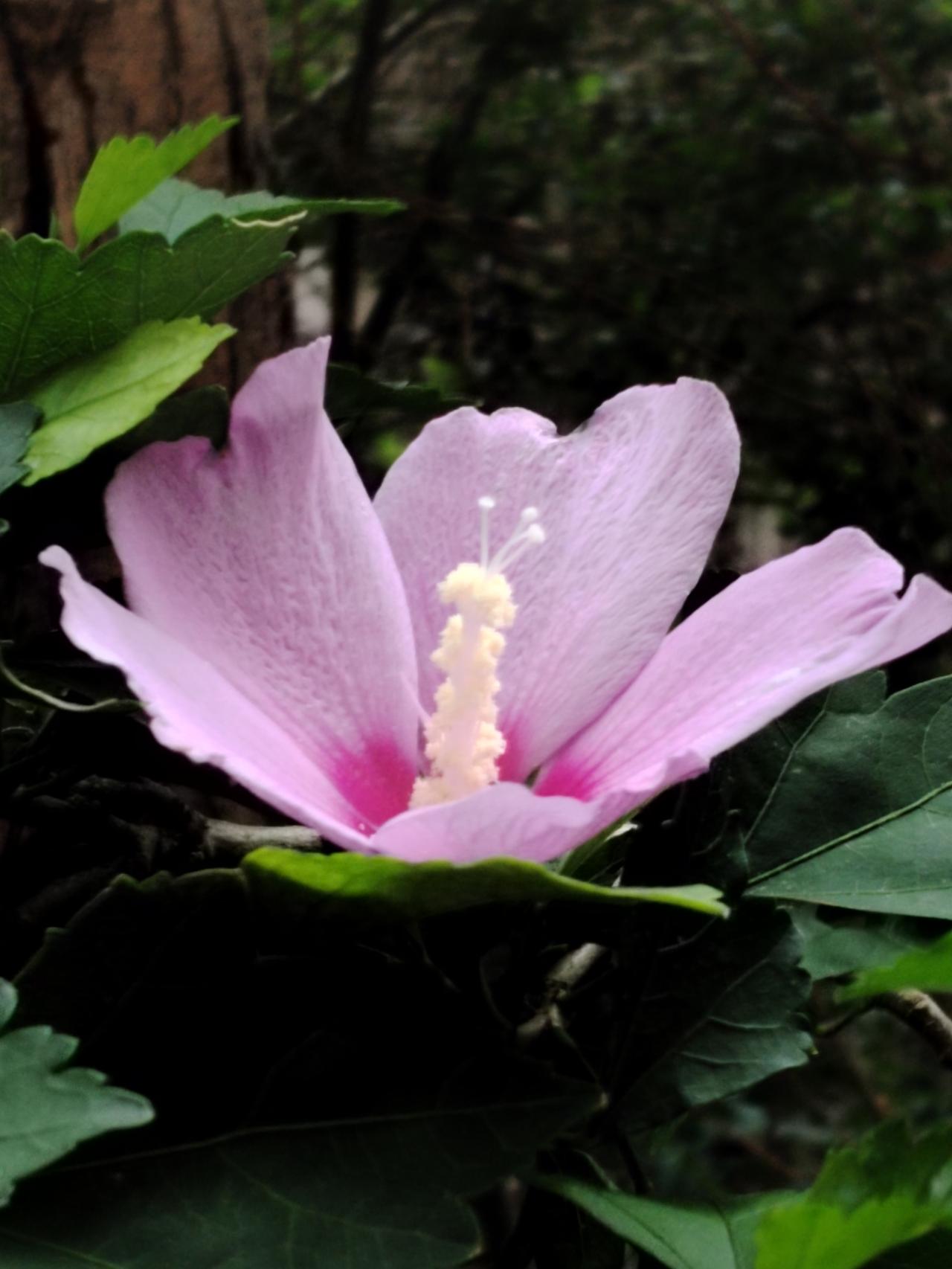 近日，有日媒宣称“中国放下战争仇恨！”，还声称战争是上一辈人的事，指责中国年轻一