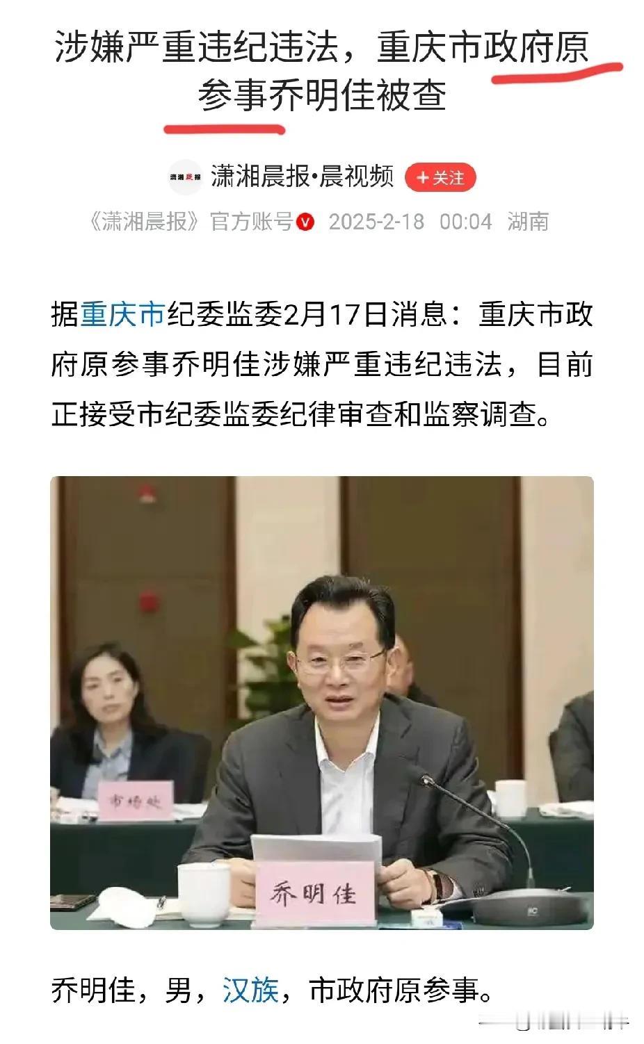 这个政府参事是个什么职位呀，也能够违反纪律吗！
感觉这不是个职位吧，从字面意思理