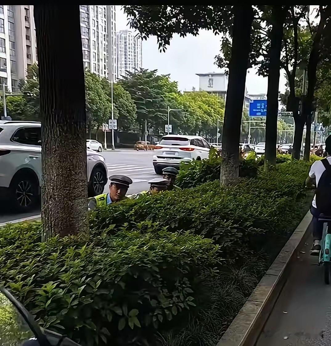 今天骑车出去溜达，好像看到绿化带草丛那里有几个人头若隐若现的感觉，吓我一跳，居然