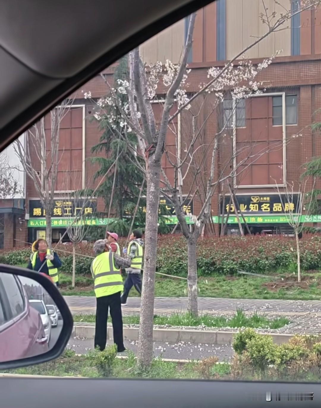 看到这个图，我想到了一个评论“我熬过了冬天，却熬不过这个春天”