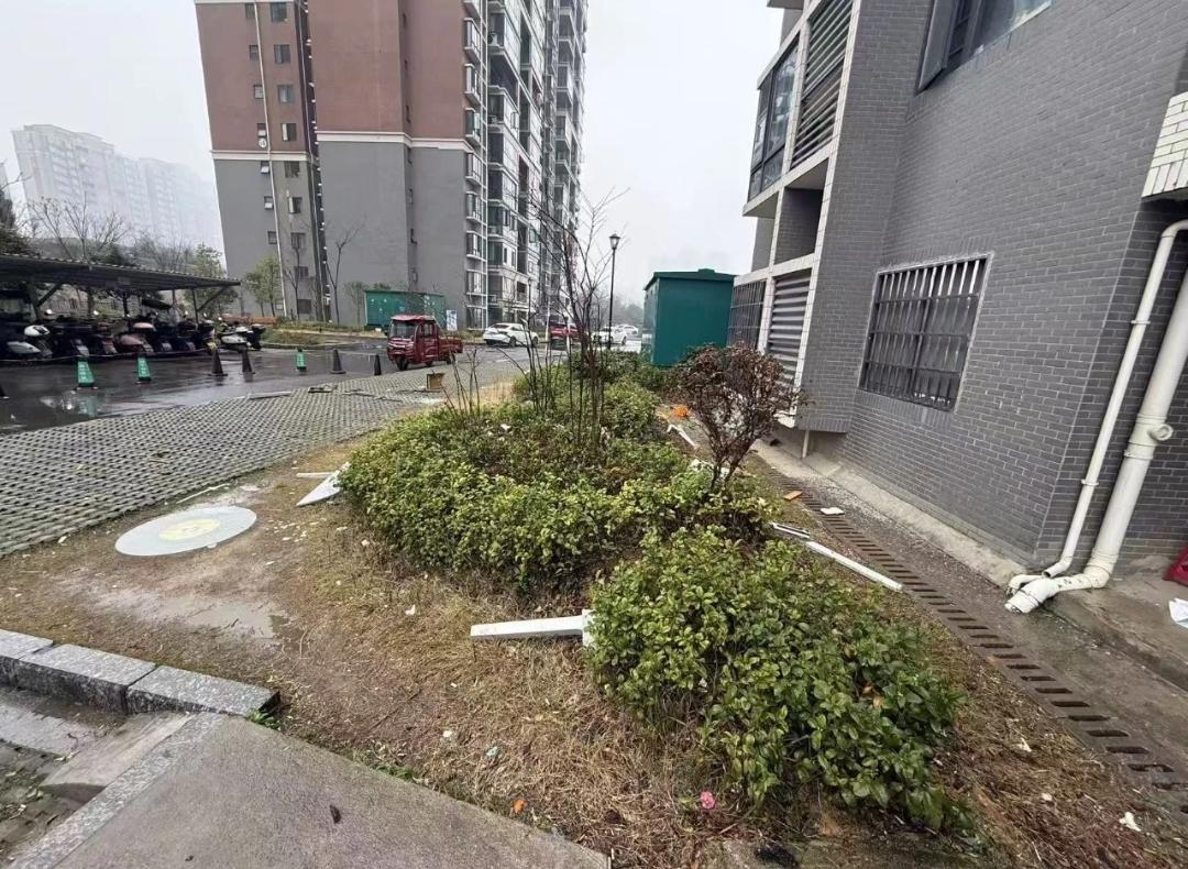 天南地北大拜年邵阳一男子向父亲索要钱，没有要到，心生不满，为了发泄情绪，从七楼往