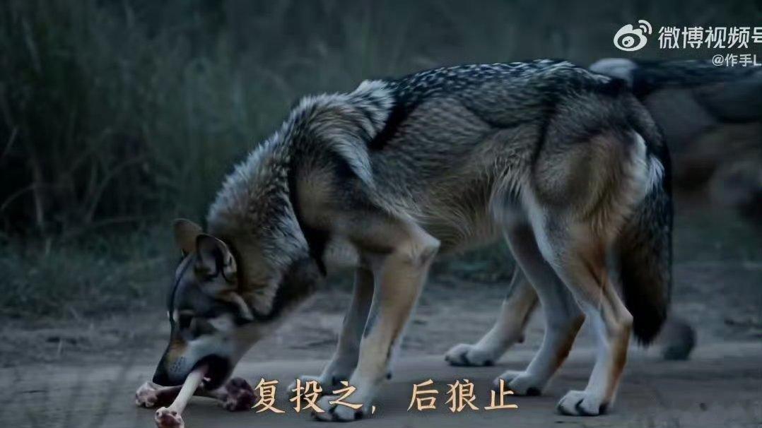 AI大赛奖金卷到千万级了看多了就会有感受，很多AI短剧的套路高度趋同，“遭遇困境