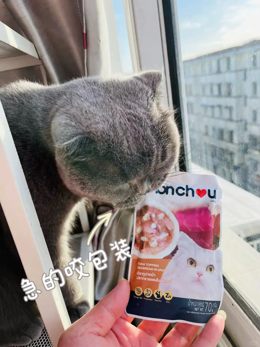 我发现了，挑食猫咪发腮长肉吃这个！