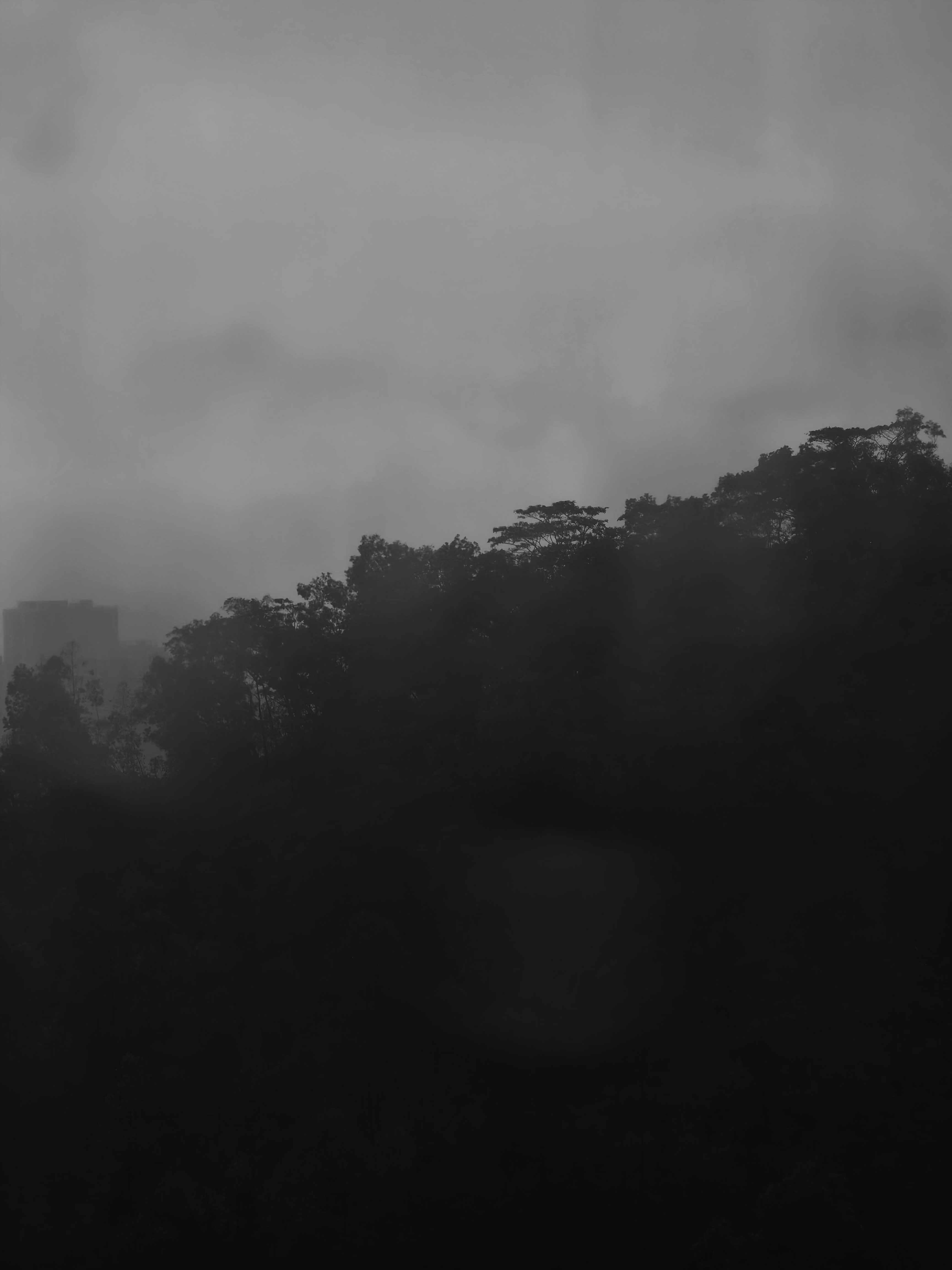 北京下雪，大湾区下暴雨！！！ 不能出去徒步了[晕] ​​​