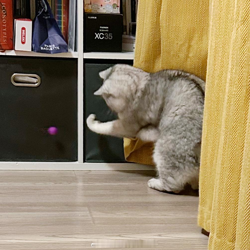 一记左勾拳👊🏻 