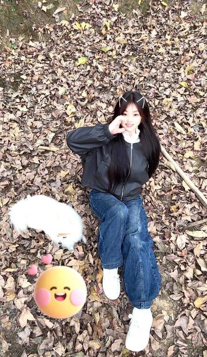 摇号计划 指标到校攻略