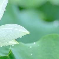 阳光信用  真正决定一个人成就的也不是运气，而是严格的自律和高强度的付出成功的秘