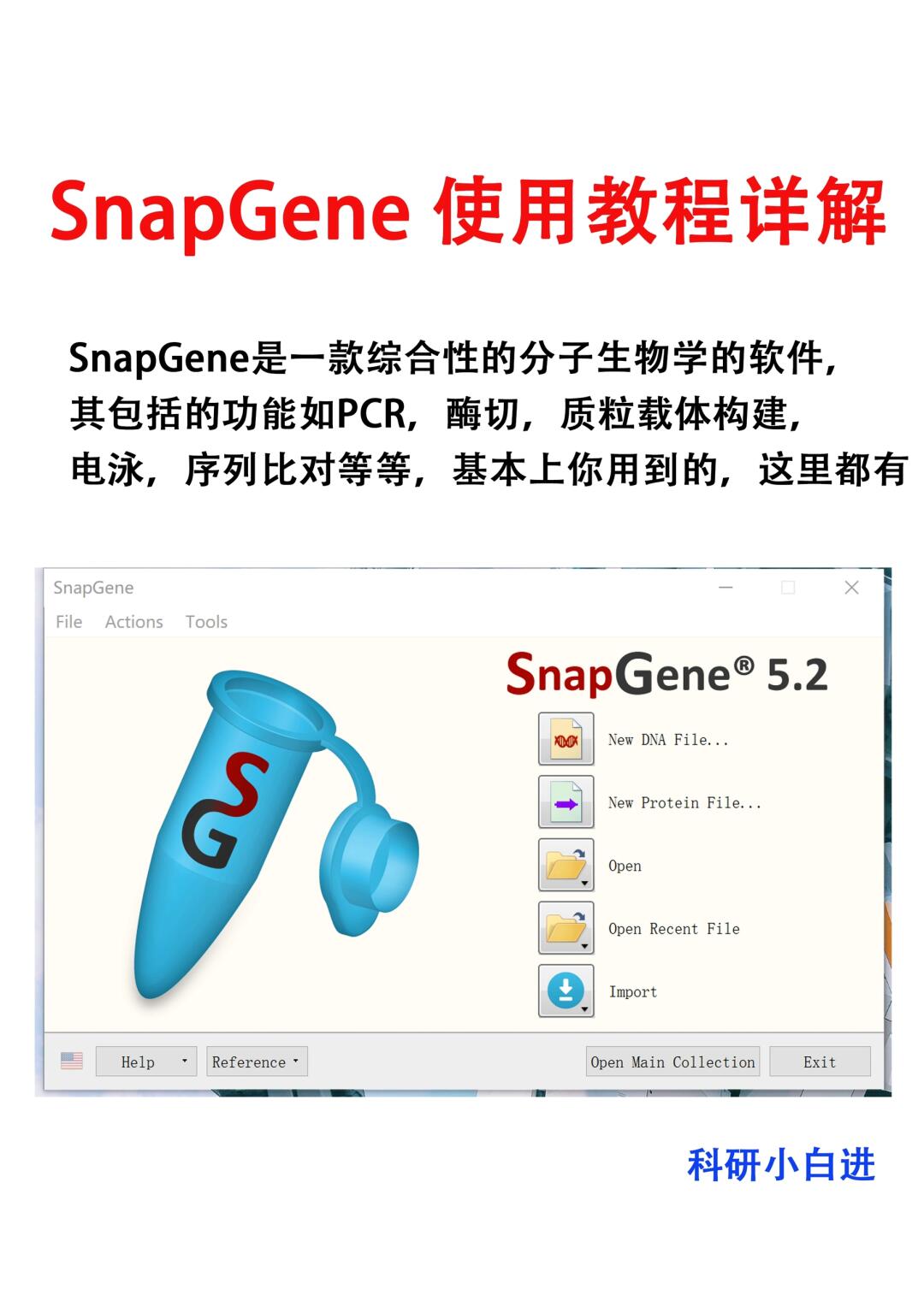 导师以为你会但不一定教你的SnapGene 教程