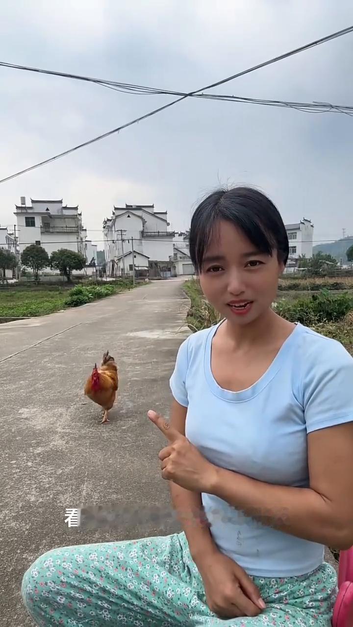 家人们，我就坐在这里不动，看看大锅鸡来找我干什么。