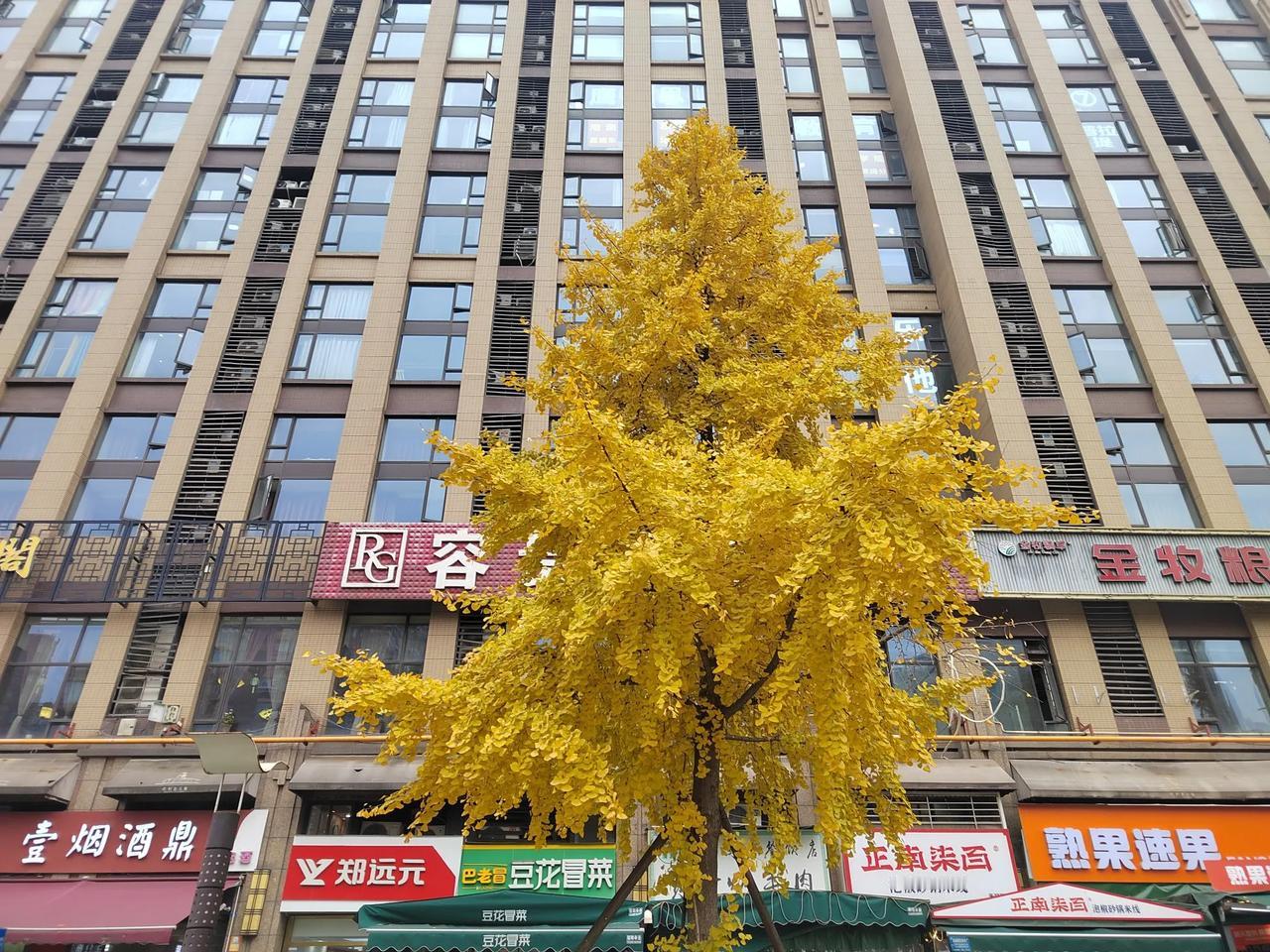 能撑起自己人生的只有一个：
实力。
是你珍惜一切光阴，用自己废寝忘食的状态去成长