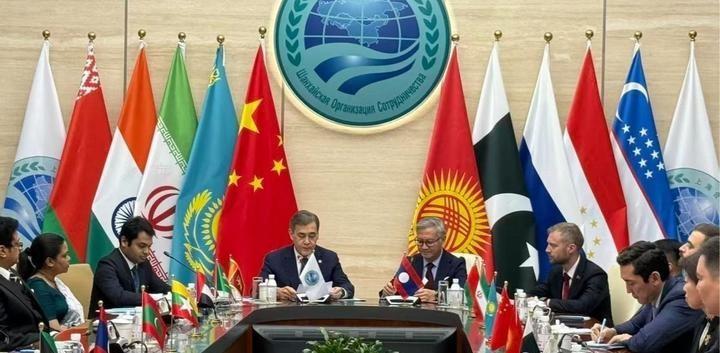咱们平时看国际新闻，眼光总盯着那些大国、强国，但地缘这盘棋，往往不是靠一两枚重子