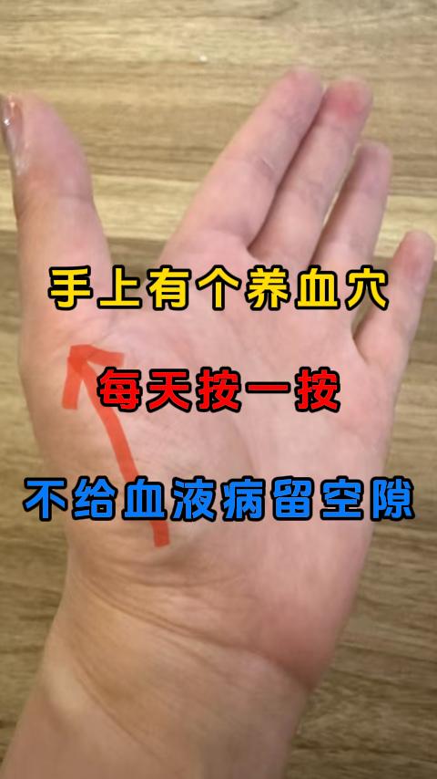 手上有个养血穴，每天按一按，不给血液病留空隙，错过实在太可惜。大家好，我是张广蕊