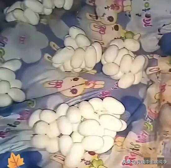男子出门在外打工，一走就是半年。等他推开家门的瞬间，整个人都僵住了，原本熟悉的卧