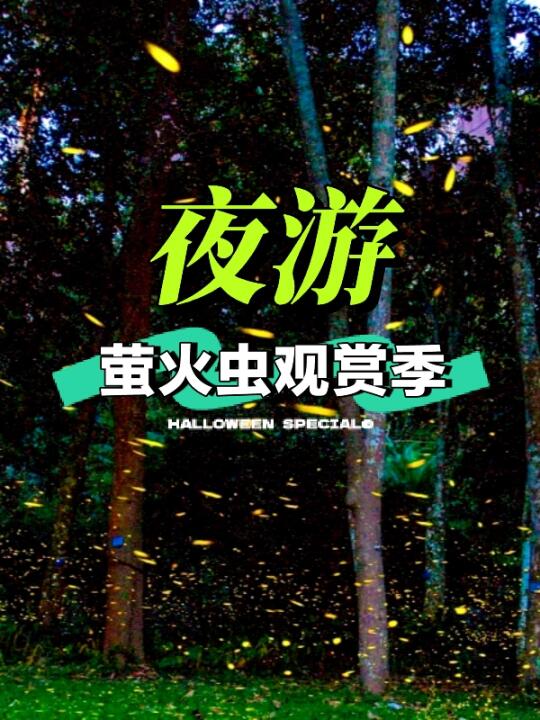 西双版纳植物园夜游｜萤火虫观赏季游玩攻略