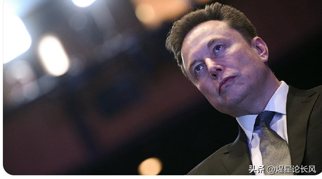 马斯克称愿意支付美国运输安全管理局员工的工资！美国国土安全部停摆已经超过一个月！