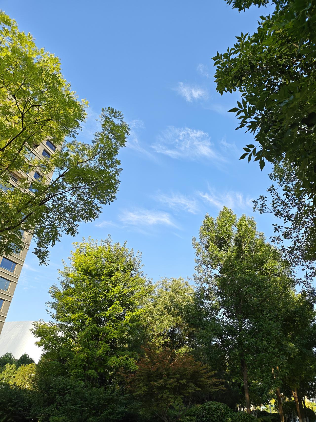 用餐时间集中，大家到了餐厅就自然排成长队，是无需提醒的自觉；
喜欢吃的多取，不想