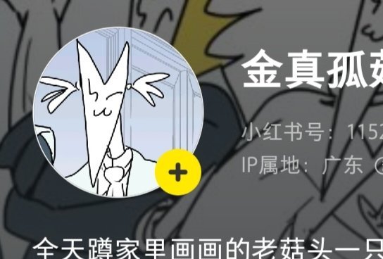 后知后觉好好笑啊就连金真孤到了小红书也会开始梳妆打扮收拾自己。【。。你是说这个双