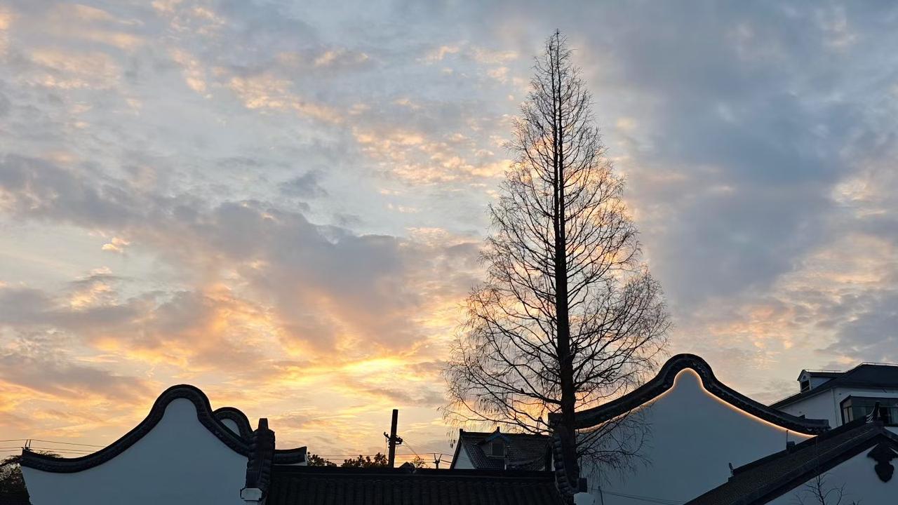 人为什么在关注力高度集中时有空觉受？

        人集中精力专注看一个字时