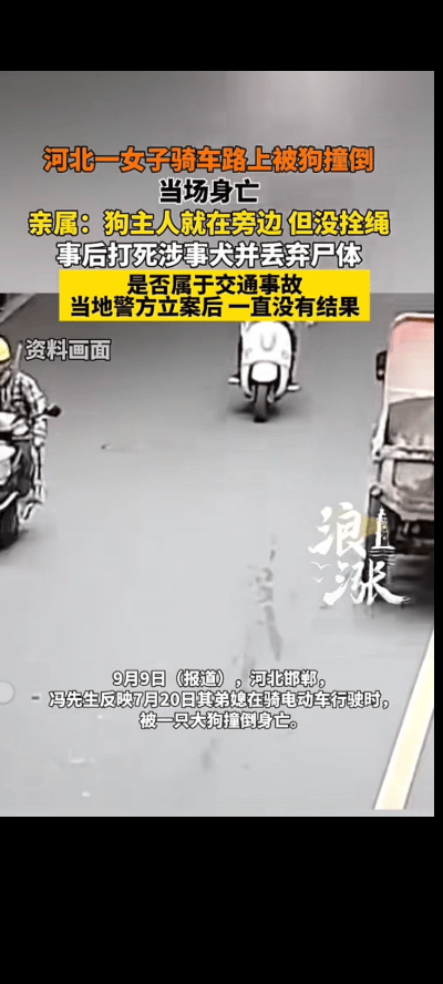 “这也太惨了！”

河北一女子骑电动车上马路行驶时，被一条狗突然窜出撞倒，导致女