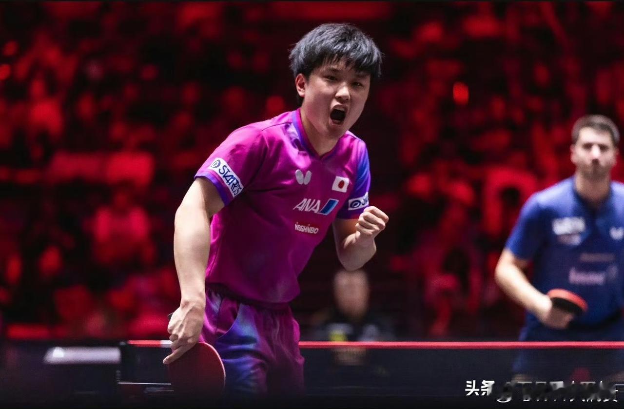 目前世二之争，又退出一位选手，张本智和暂时解除上升风险。
下一个风险较大的人是莫