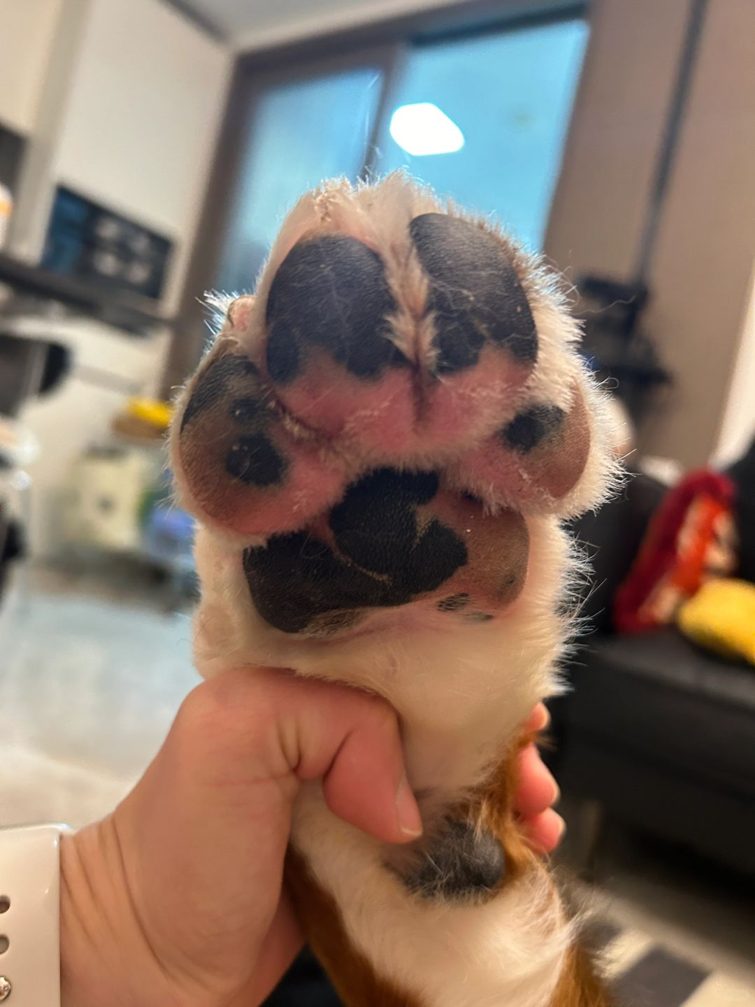 Give me five!