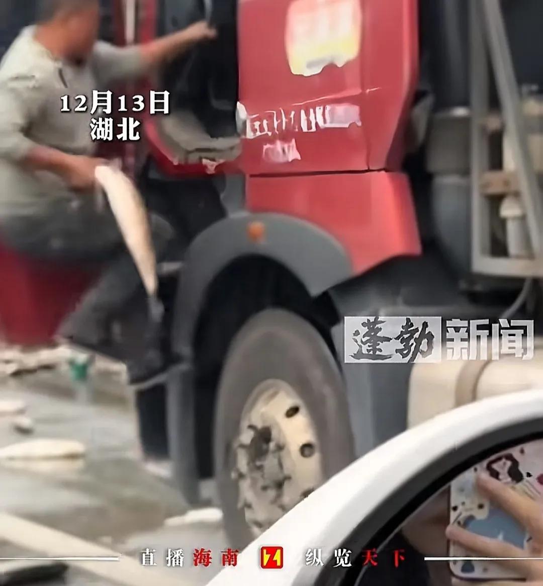 “缺这一条鱼吗？”
高速公路上，一辆大货车侧翻，运输的鱼散落一地，有的大货车司机