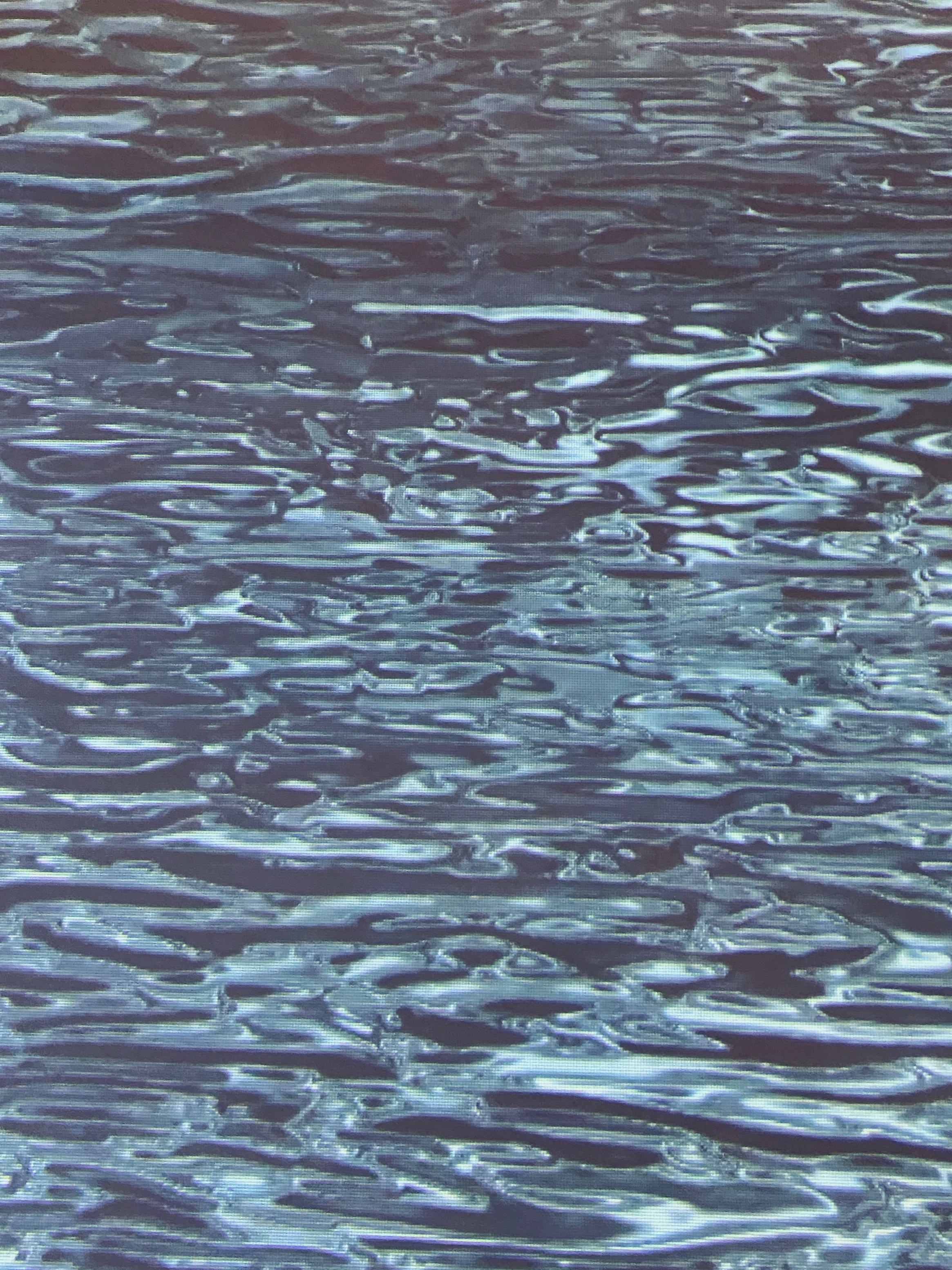 #日常# 属于江南梅雨季特有的浪漫🕊 ​​​