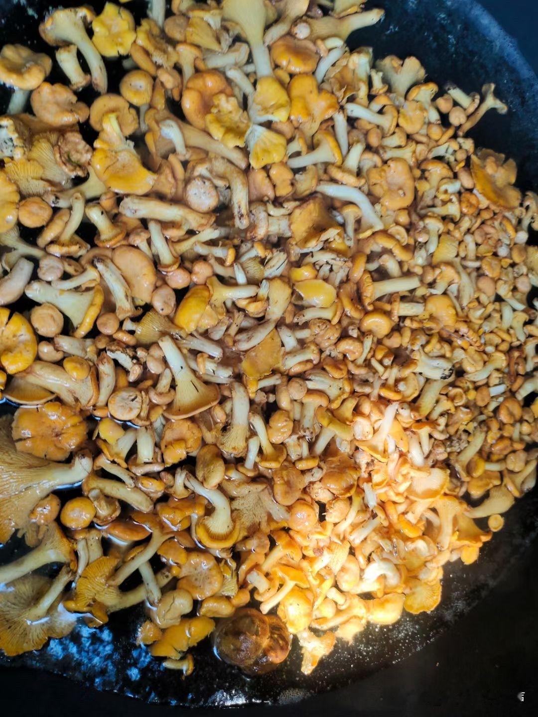 鸡油菌腌制完毕