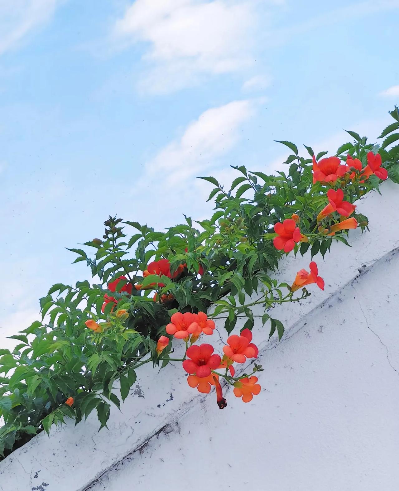 小时候觉得冷，
第一感觉是降温了，
现在觉得冷，
第一感觉是身体虚了！

大家说