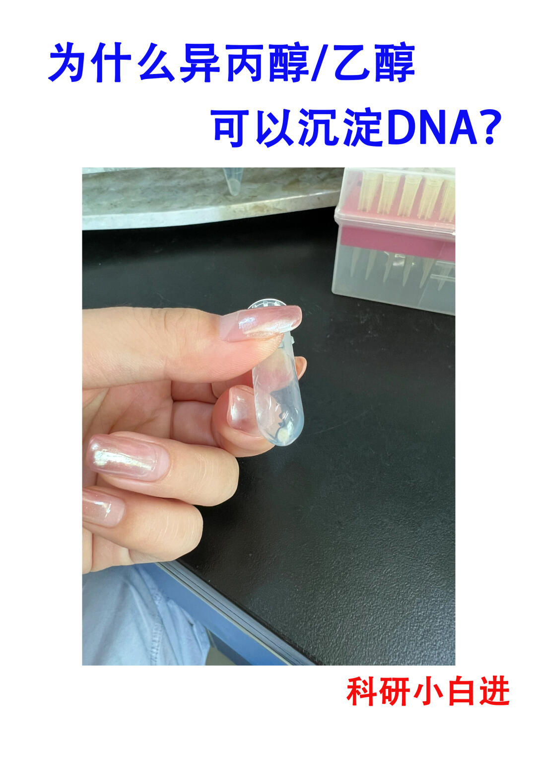 🔥为什么异丙醇/乙醇可以沉淀DNA？