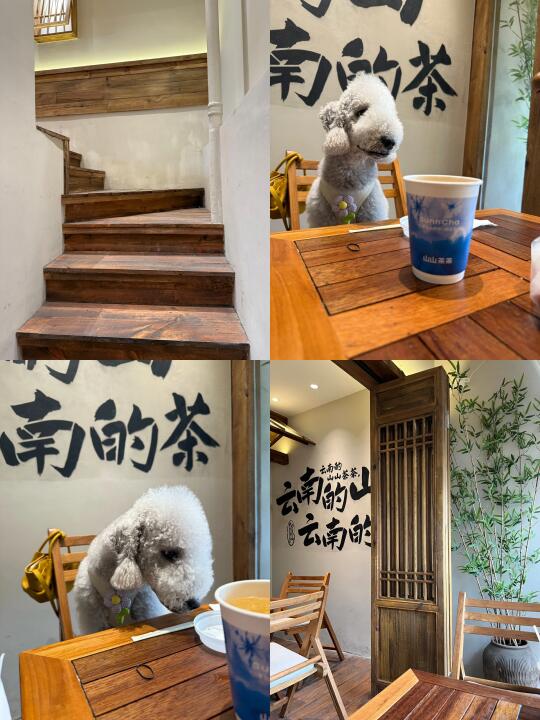 昆明｜不得不说南强街很舒服