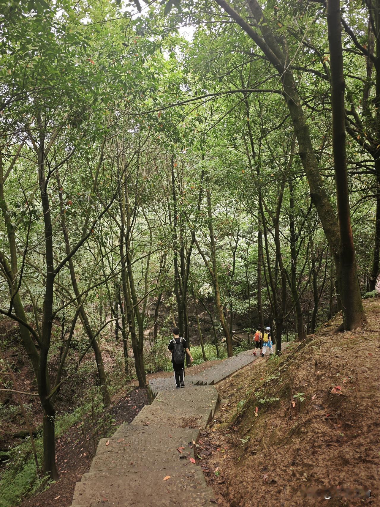 周末爬山，重庆南山。
轨道仁济站2口，走凉水井步道上山，经凉水井小水库、黄山抗博
