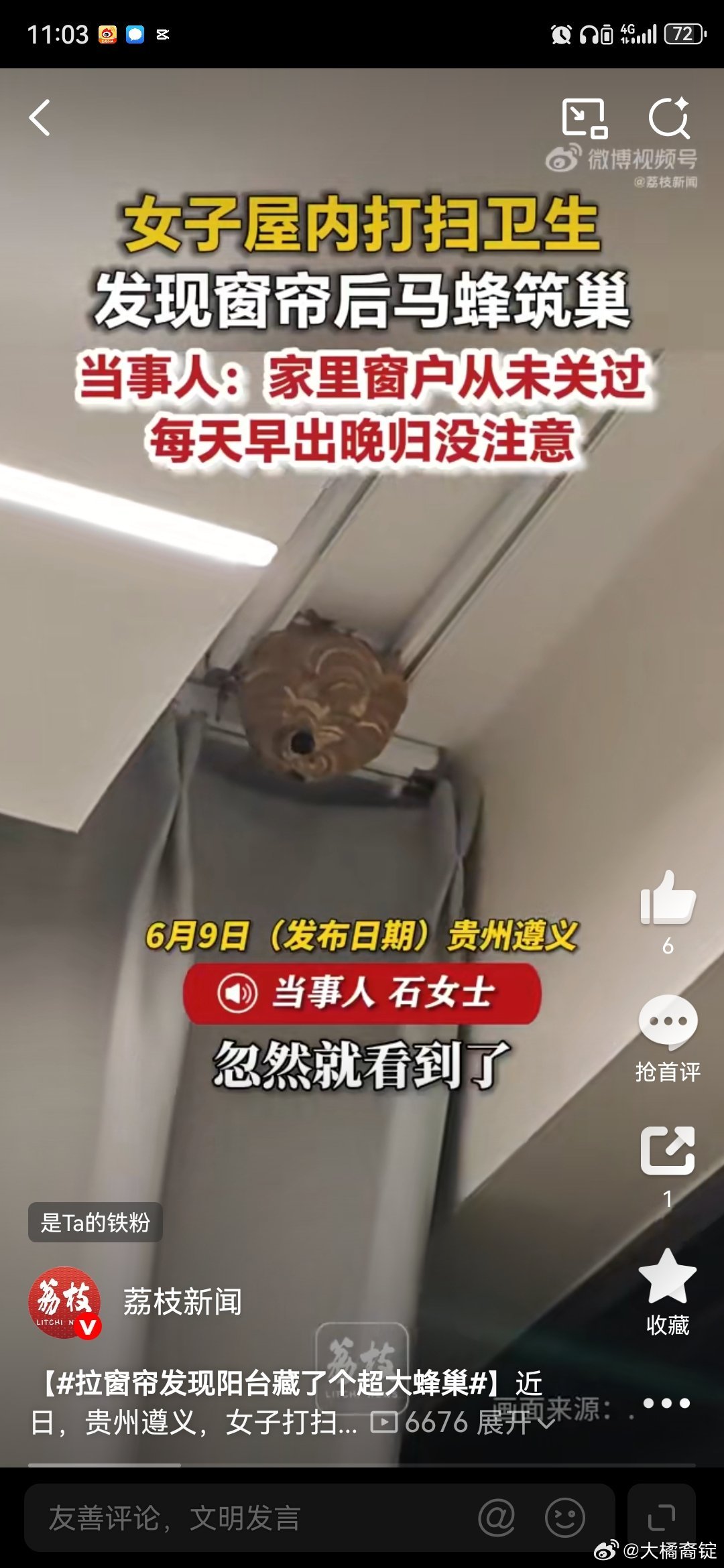 拉窗帘发现阳台藏了个超大蜂巢吓死人了，还好是阳台上这可是马蜂的超大丰巢马蜂蜇一下
