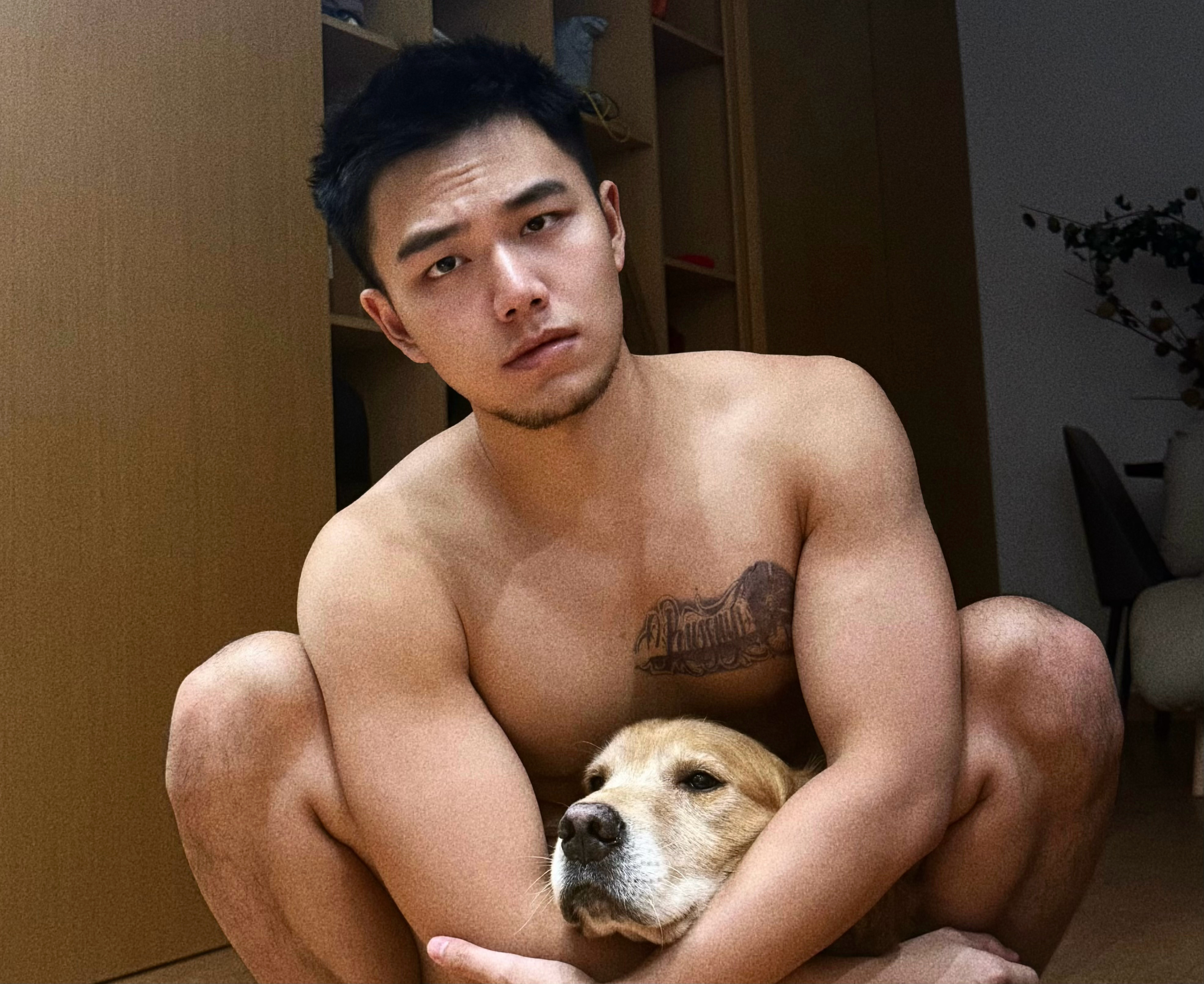 大狗狗 是狼～ 