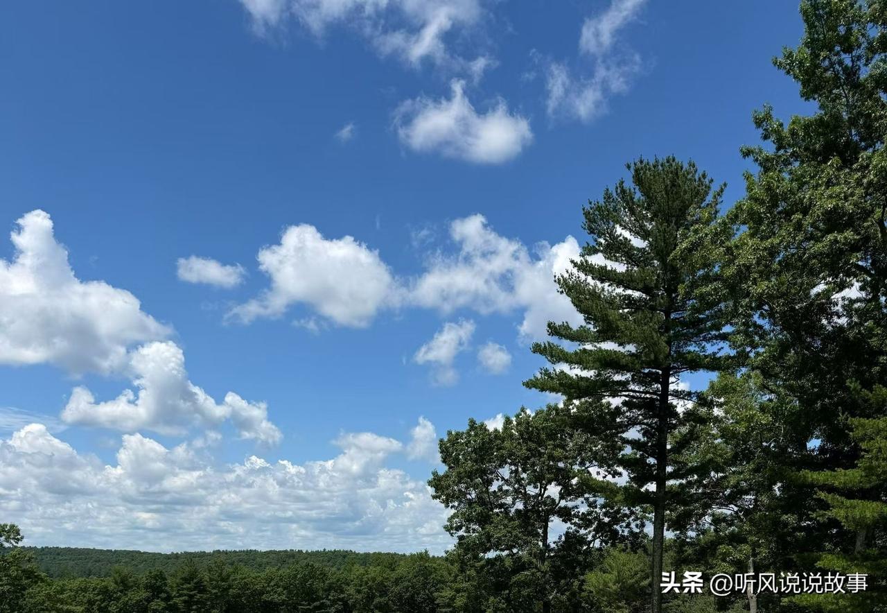 ❤️老板的烦，不是能力不够，是担子太重。转型怕死，不转等死；招人怕错，不招累死；
