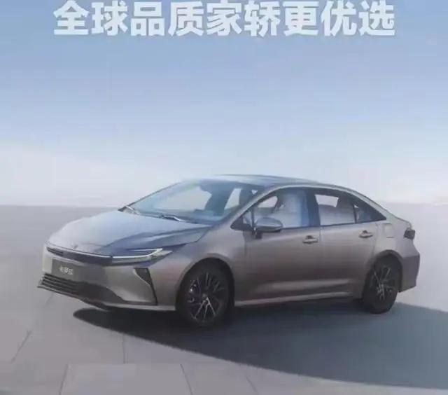 那时候看到官方说全球有五千多万人都在开卡罗拉 这个系列的车型，我心里一下就有了底