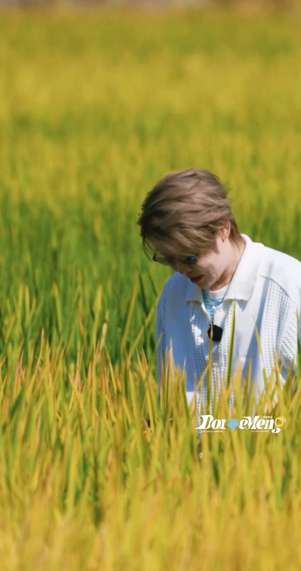 王WM濛[超话]王WM濛[超话]✨💛💫 王濛 老婆 快秋收了 我想跟你回东北