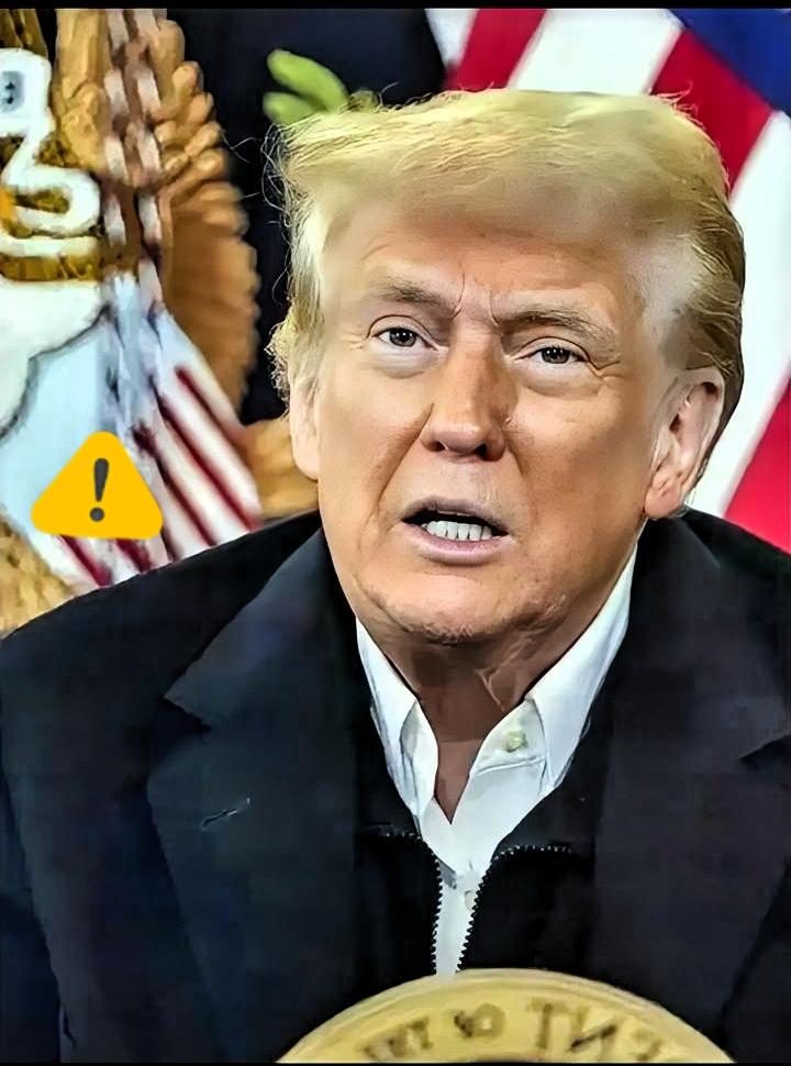 特朗普总算说了句实话！
 特朗普称必须尊重我国！

特朗普迈阿密表态：必须尊重中