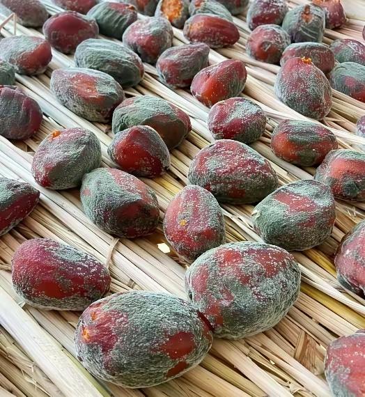 柿子晒成这样还能吃吗？