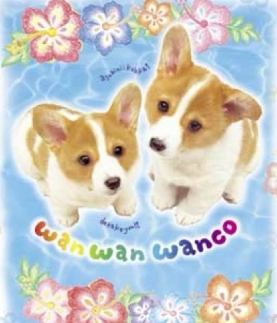 ₊⁺★. 。可愛犬犬学園!! .☆₊⁺🦴 ​​​