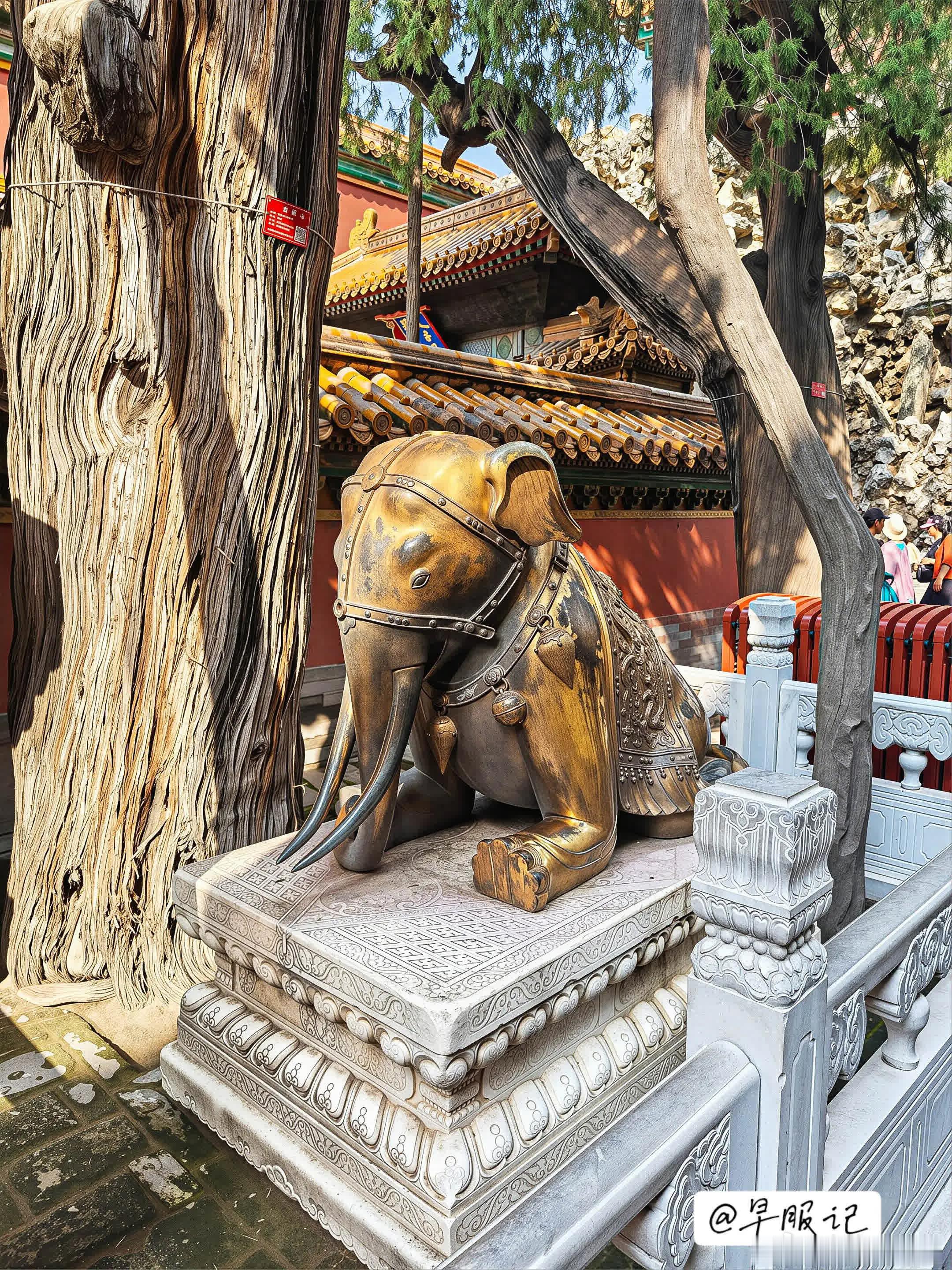 故宫御花园承光门内：明•鎏金伏跪铜象。通身是明代皇家仪仗宝象所用的华丽装束。整体