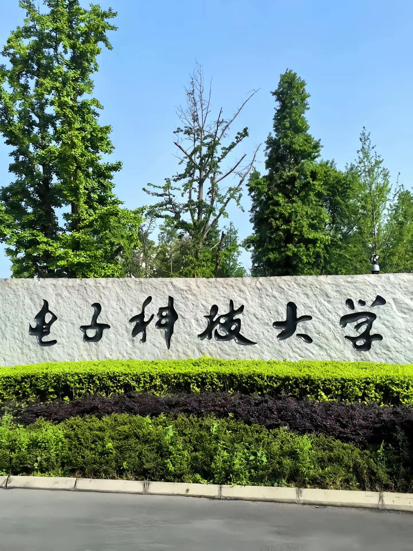 “信息技术领域最顶尖的存在”