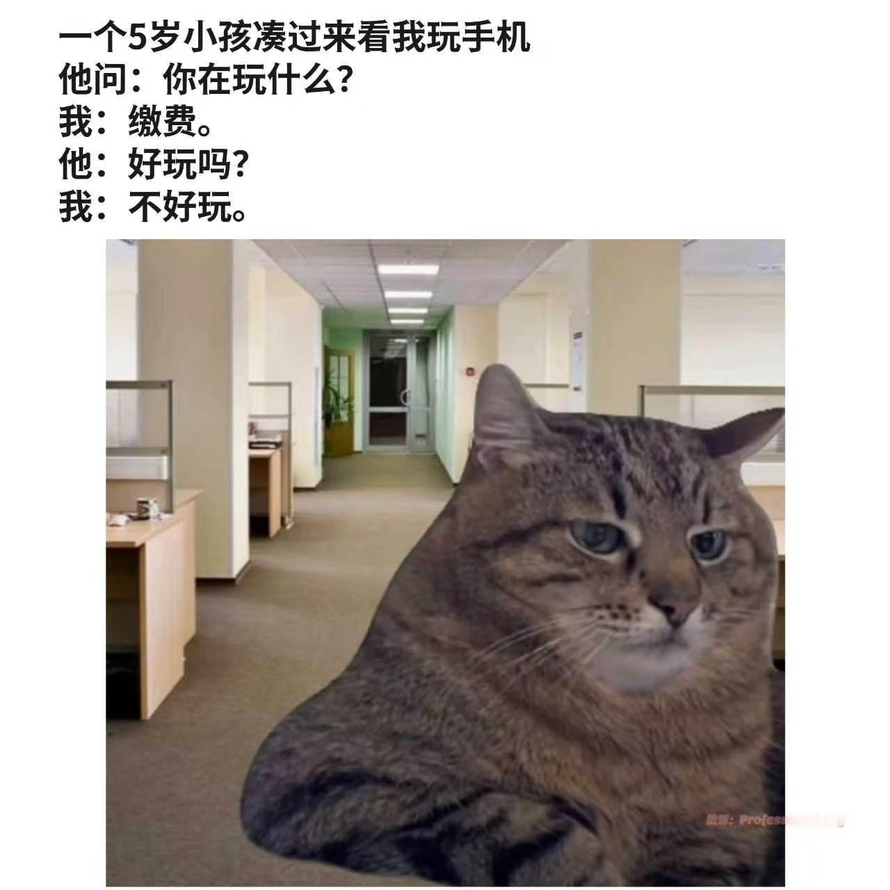 真正的成人游戏🔞meme