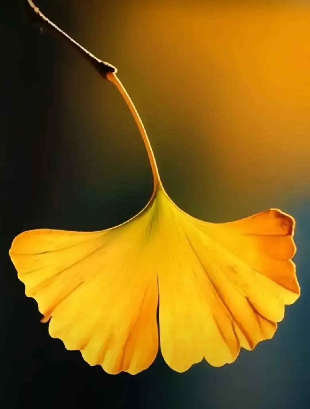 说是一种能力，不说是一种选择
说是一种智慧，不说是一种修养
说是一种艺术，不说是