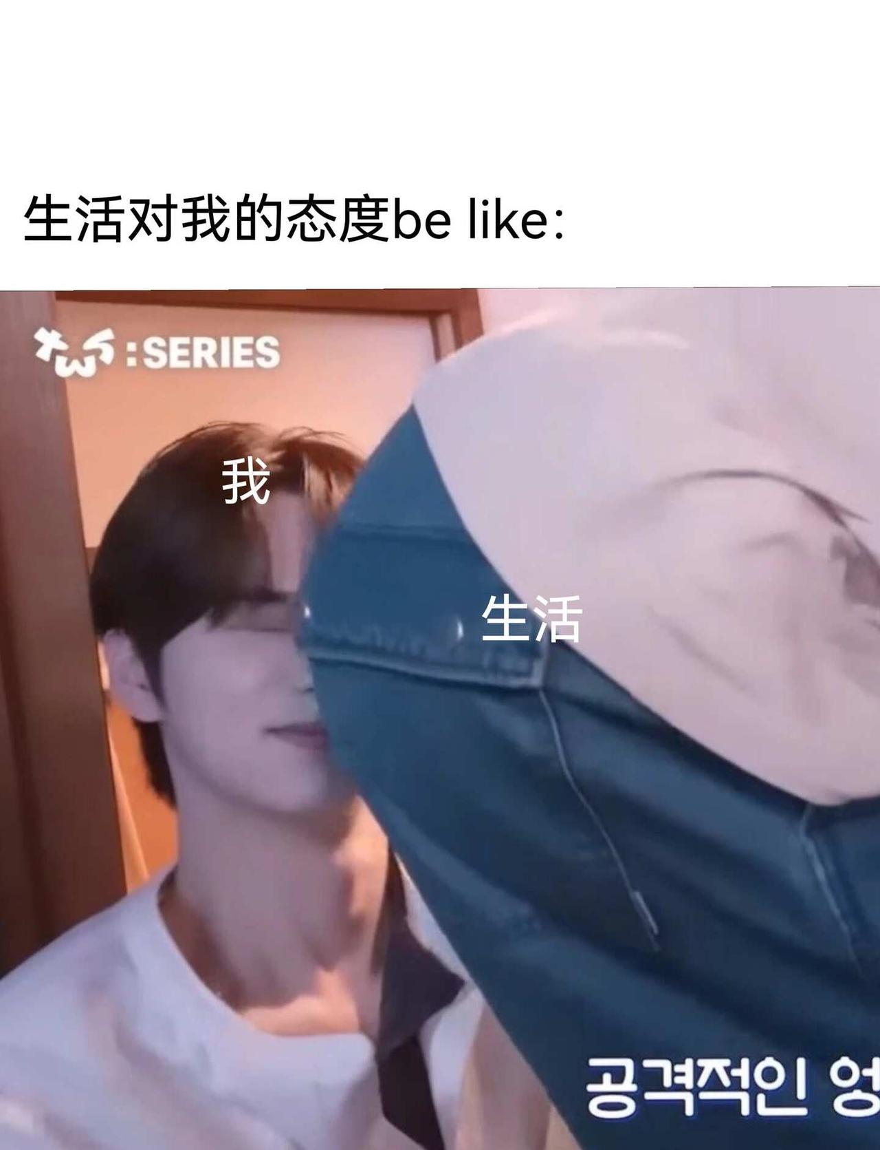 tws无意义梗图
tws