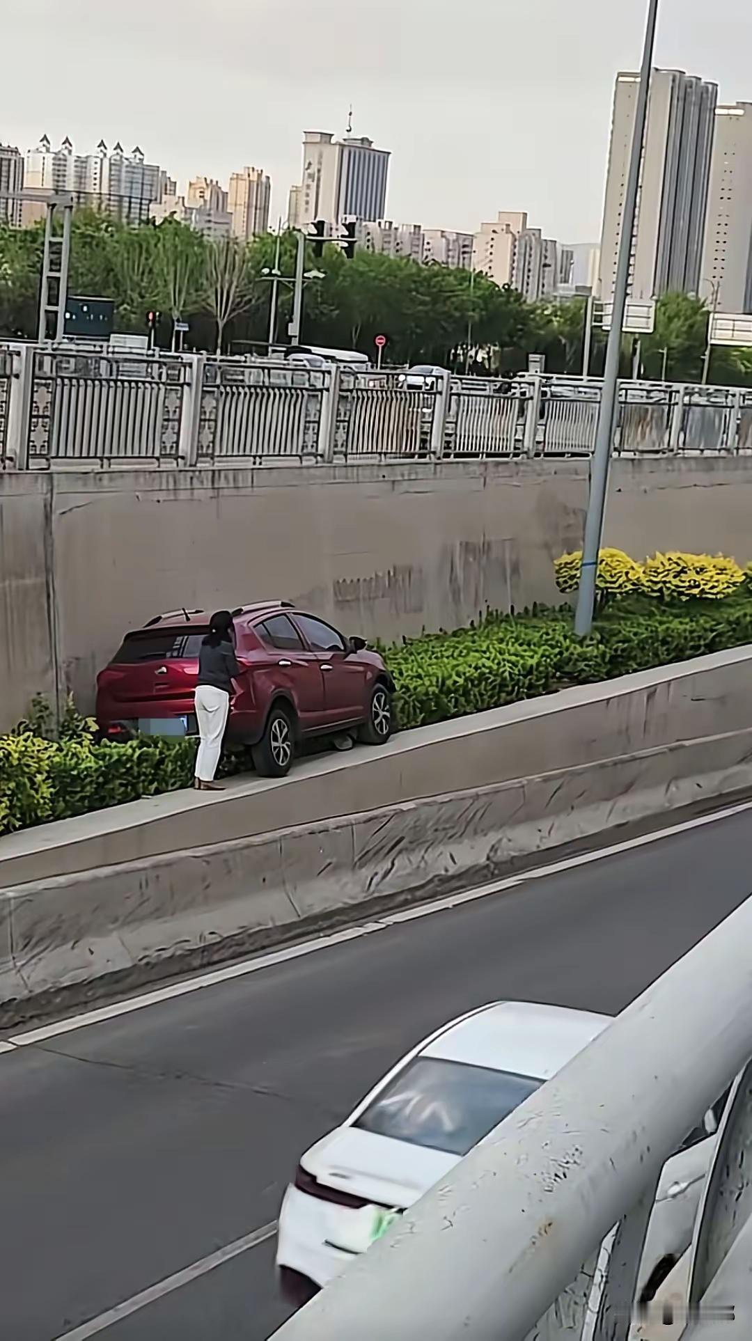 绿化肩不是停车位！
