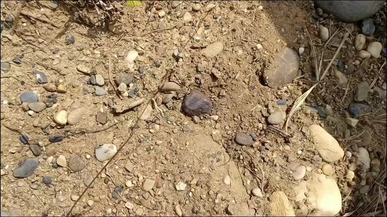 钓鱼不如钓星，陨石爱好者狂喜！🎣别人钓鱼我钓星，三天两头往野外跑，就为捡这颗天